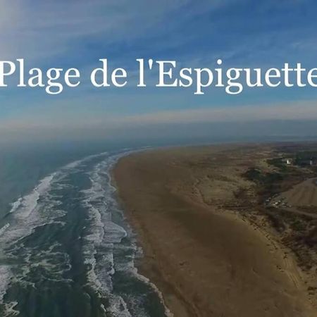 Grand Studio Au Grau-Du-Roi Proche Seaquarium Et Plage Le Grau-du-Roi Zewnętrze zdjęcie