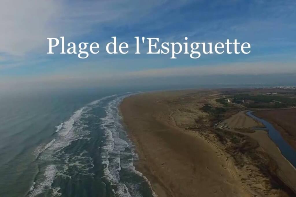 Grand Studio Au Grau-Du-Roi Proche Seaquarium Et Plage Le Grau-du-Roi Zewnętrze zdjęcie